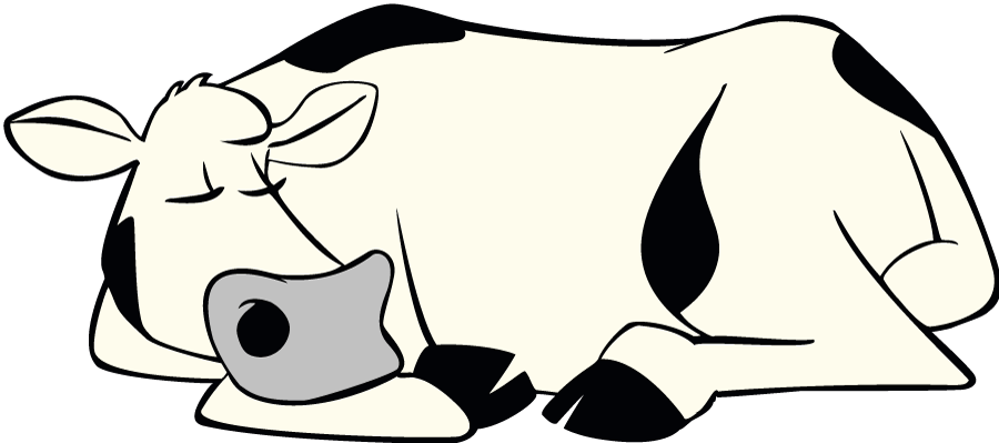 Sleeping Cow - Cattle Clipart (900x399), Png Download