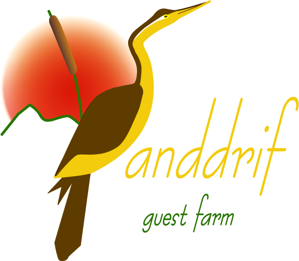 Guest House Stellenbosch - Sanddrif Guest Farm Clipart (1024x872), Png Download