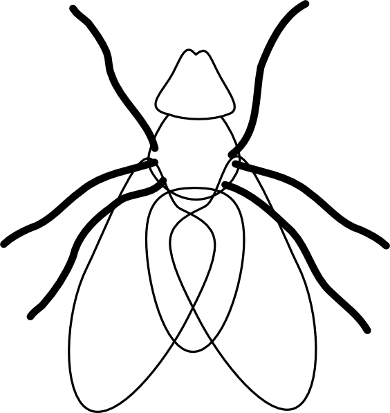 Banner Freeuse Download Bohemian Drawing Fly - Black And White Flies Clip Art - Png Download (564x597), Png Download