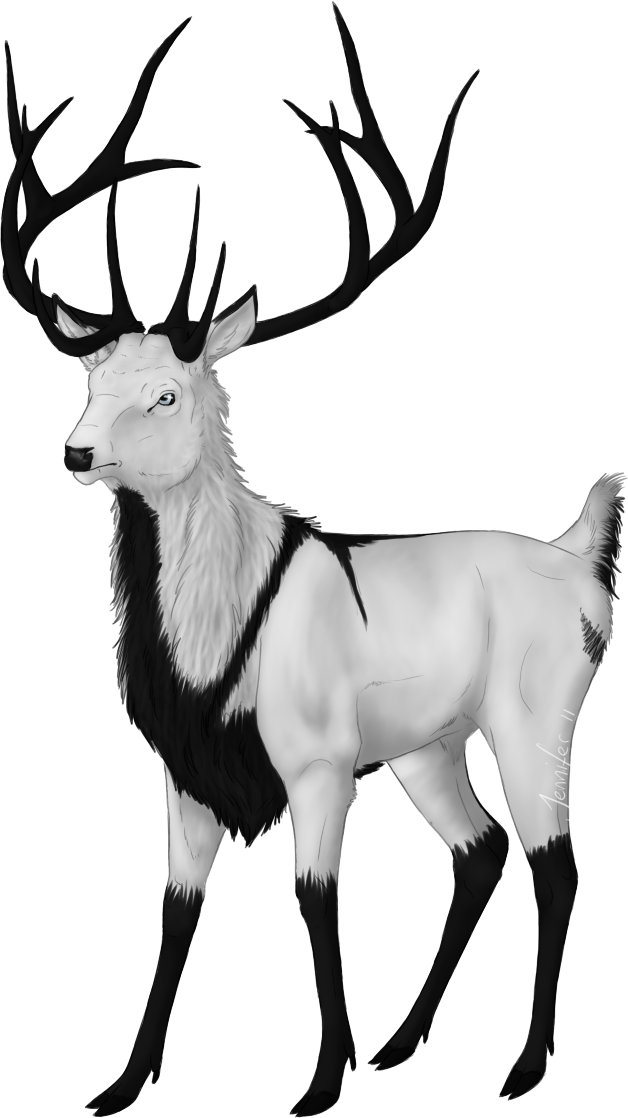 E V E N I D E - Deer Clipart (628x1118), Png Download