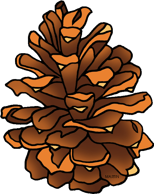 Clipart Pine Cone - Png Download (527x648), Png Download