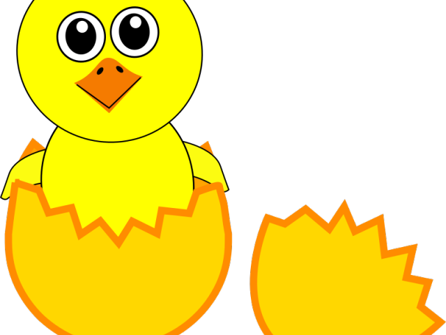 Clipart Royalty Free Stock Chicken Clipart Free - Cartoon Picture Of Chick - Png Download (640x480), Png Download