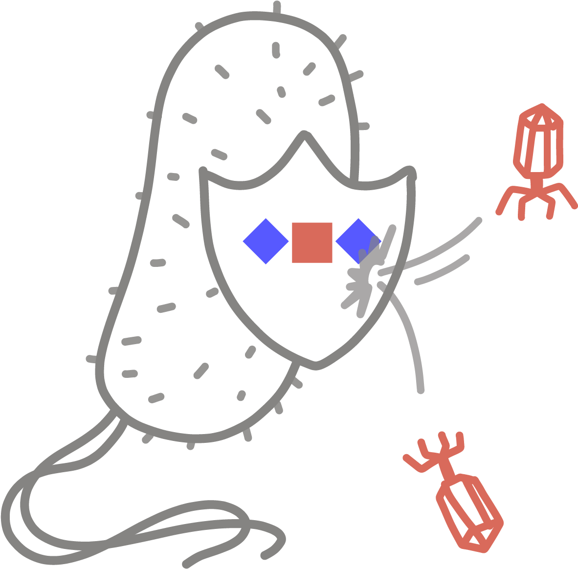 ” An Adaptive Immune System Found In Bacteria And Archaea, Clipart (1200x1178), Png Download