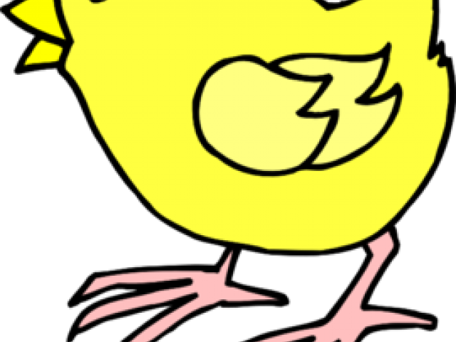 Chicken Clipart Illustration - Chick Coloring Pages - Png Download (640x480), Png Download
