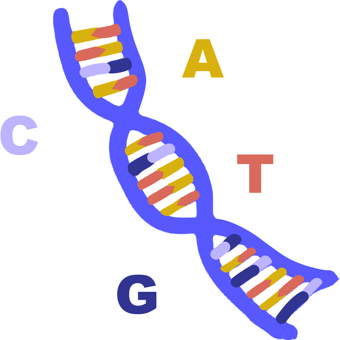 Download Abbreviation Of Deoxyribonucleic Acid, A Long Molecule Dna