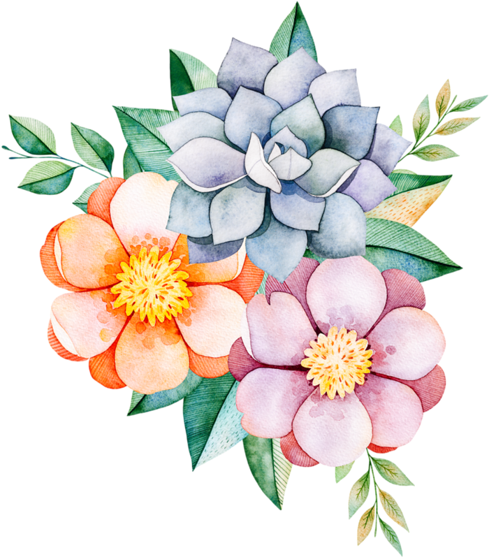 Фото, Автор Mimozochka На Яндекс - Flower Clipart (706x800), Png Download