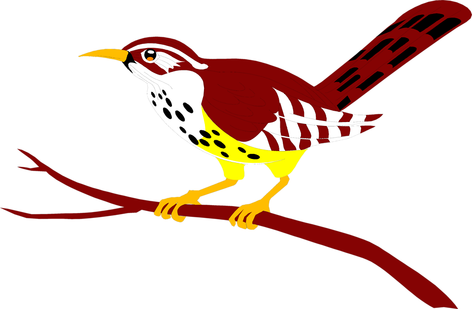 Free Stock Photos - Clipart Bird On A Branch - Png Download (958x628), Png Download