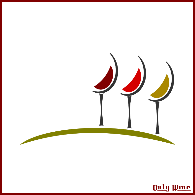 All Photo Png Clipart - Wine Glass Transparent Png (750x750), Png Download