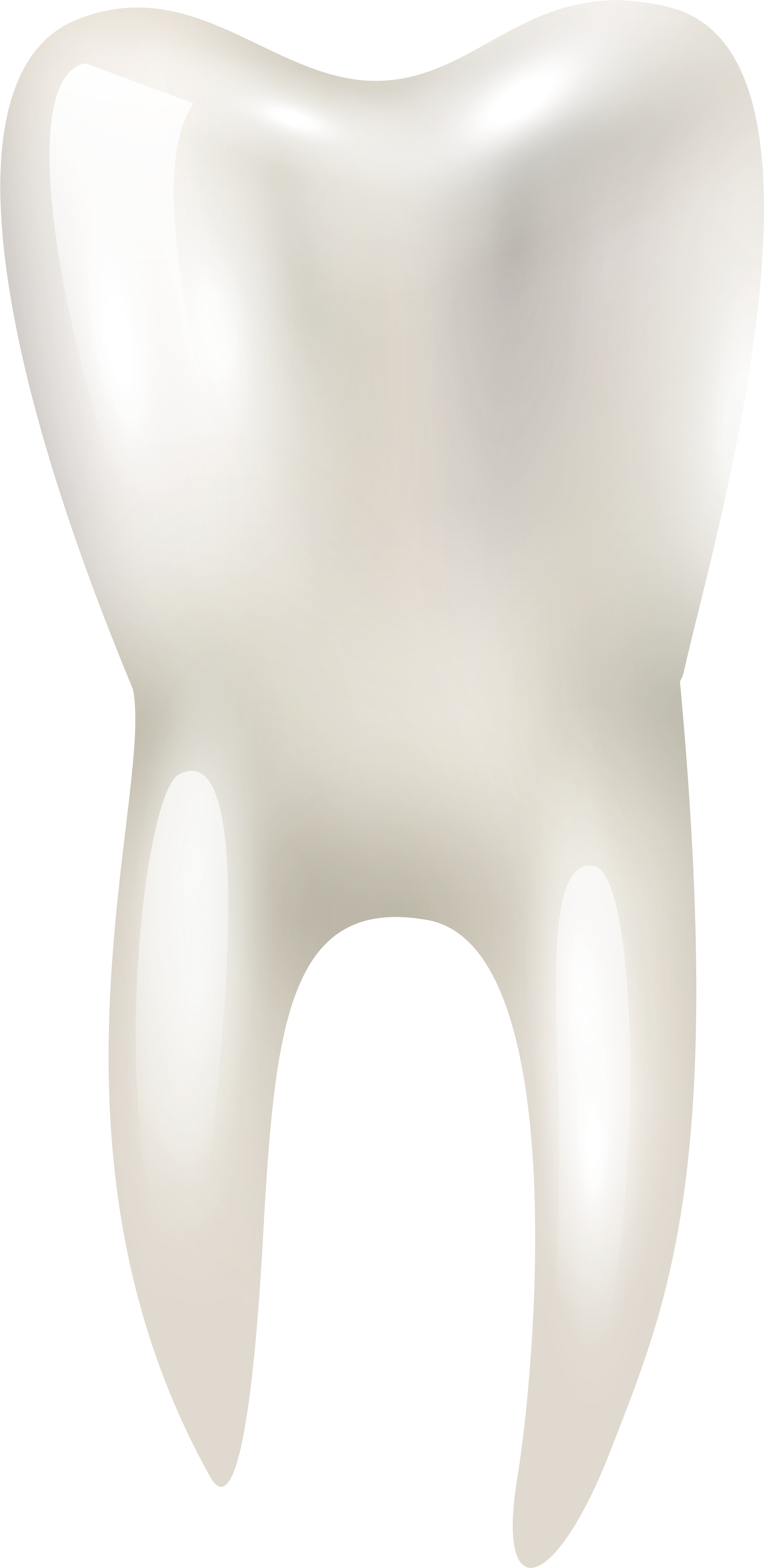 Tooth Png Clip Art - Portable Network Graphics Transparent Png (3490x7000), Png Download
