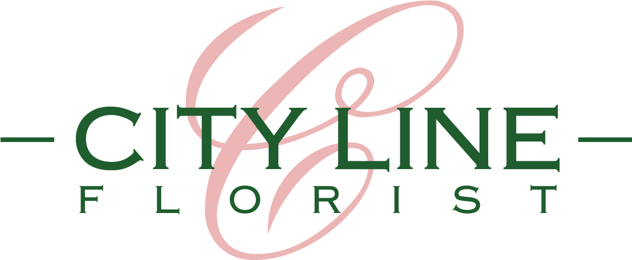 Return To The Homepage - Home Page Clipart (1243x525), Png Download