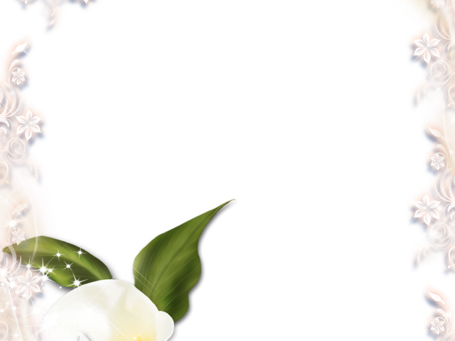 Calla Lily Clipart Memorial Flower - Happy Anniversary Transparent Frames - Png Download (640x480), Png Download