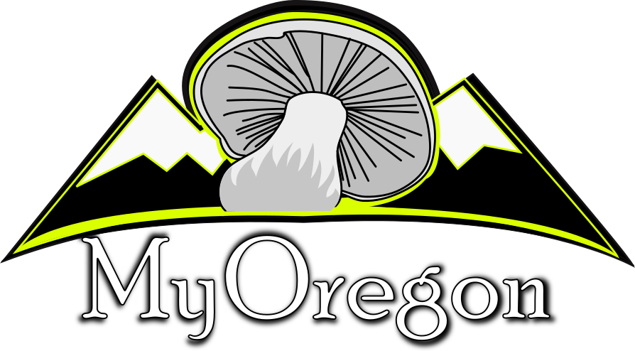 Logo - Wimer Covered Bridge Clipart (894x494), Png Download