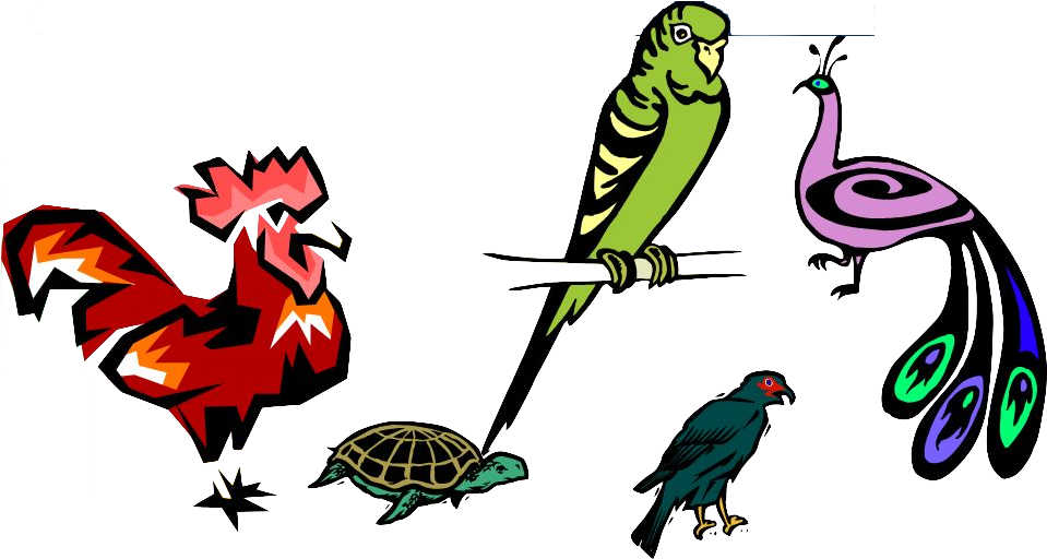 Website Clipart (960x530), Png Download