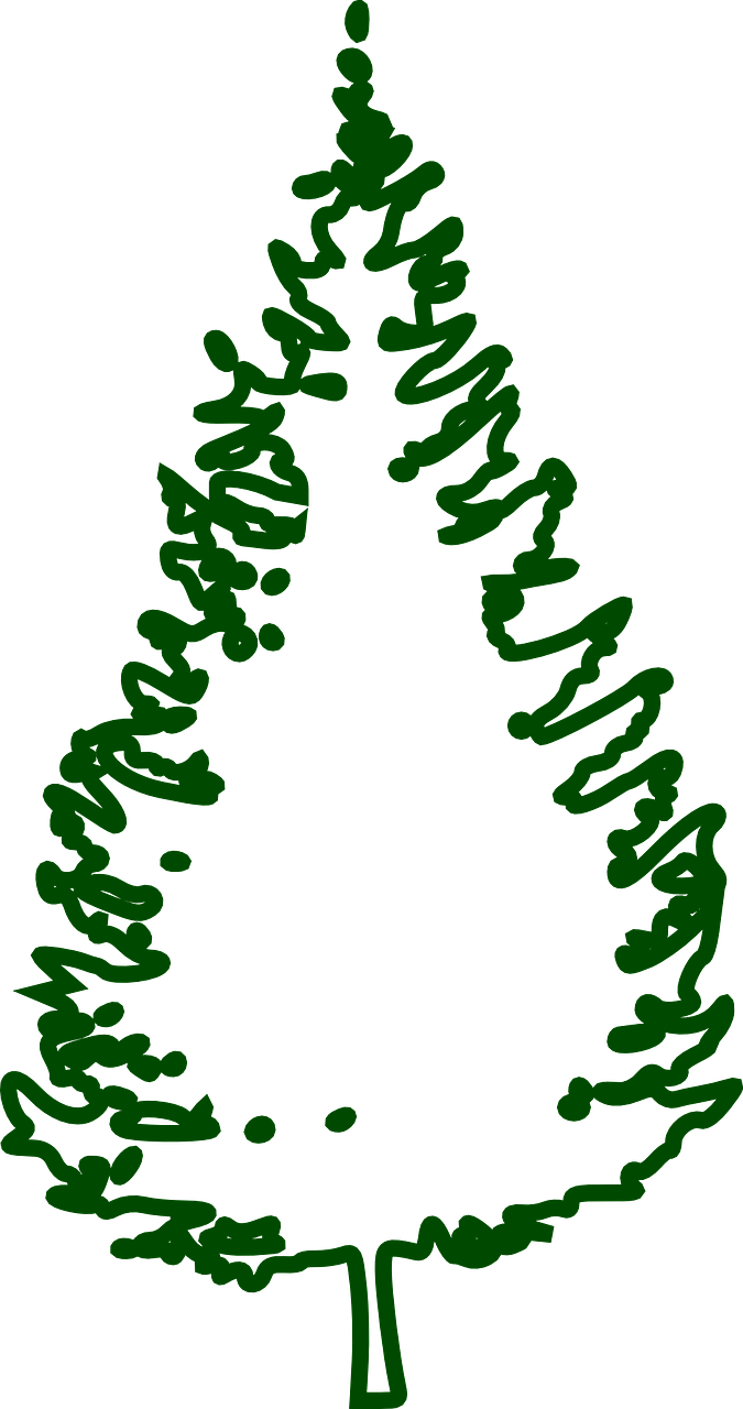 Fir Vector Graphics,free Christmas Tree Outline Png Clipart Full
