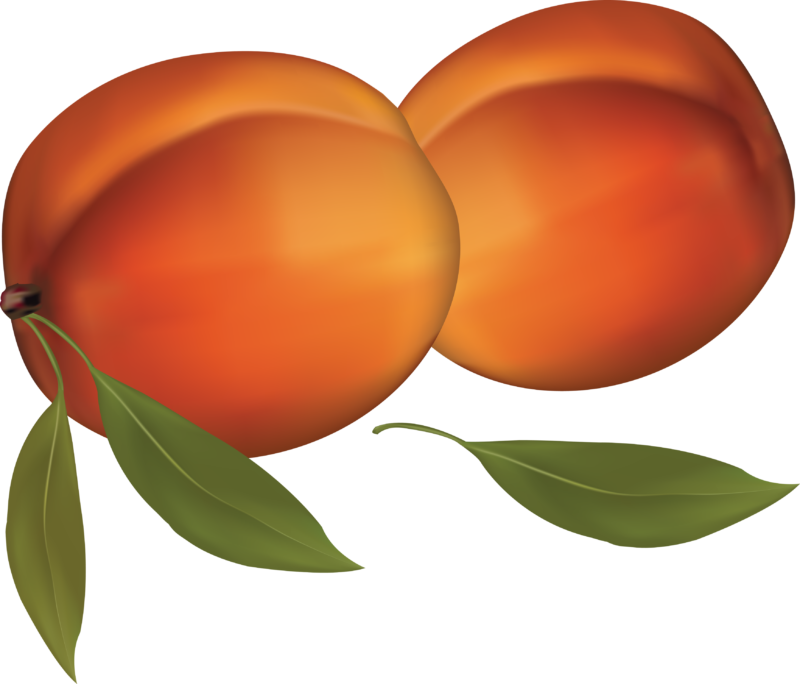 Peach Clipart - Peach Clipart Transparent Background - Png Download (800x684), Png Download
