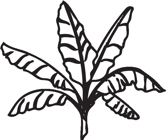 Functions & Events - Outline Of Banana Flower Clipart (700x700), Png Download