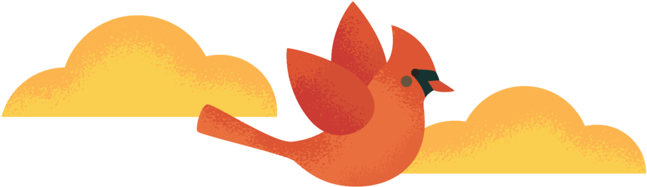 Our History - Portable Network Graphics Clipart (1000x356), Png Download