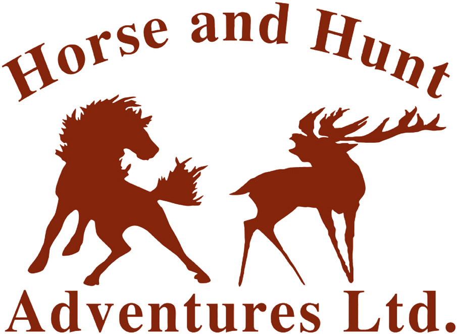 Horse & Hunt Adventures Clipart (1100x770), Png Download