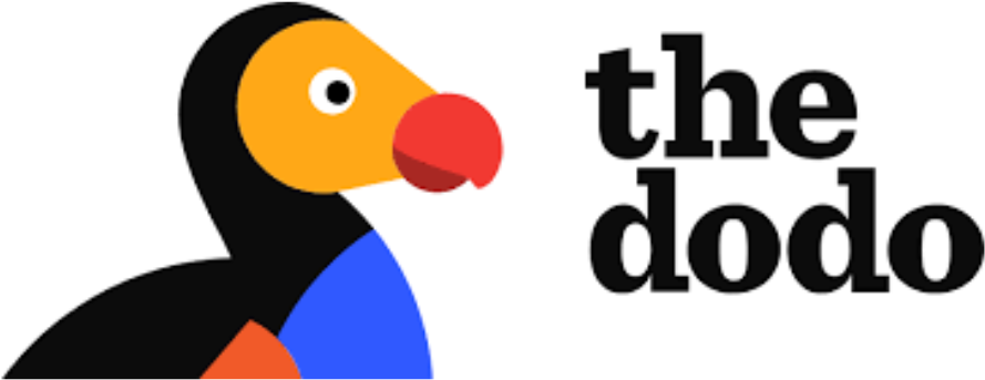 Recent Accomplishments - Dodo Website Clipart (940x530), Png Download