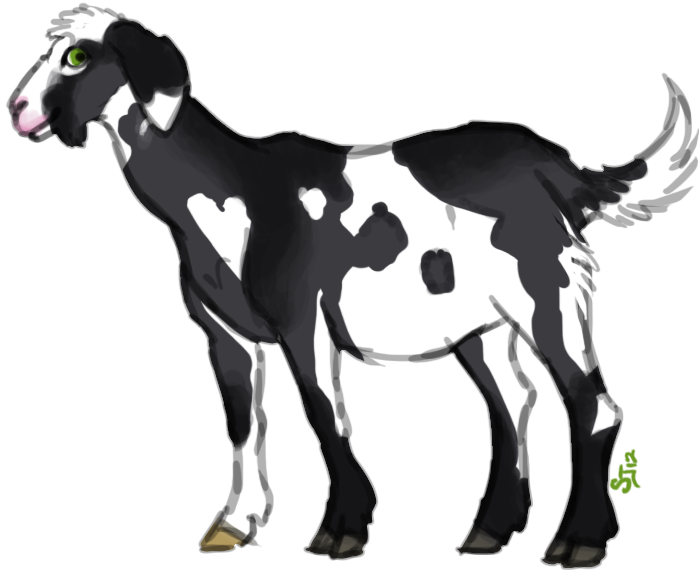 N - [nubian Goat - Snowshoe] - Art Clipart (699x573), Png Download