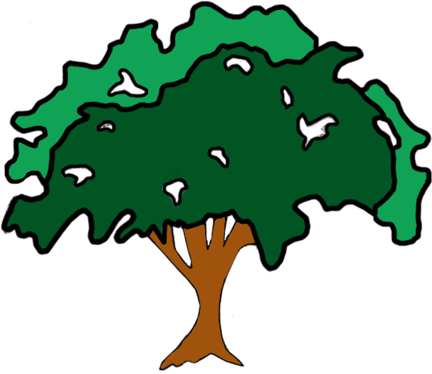 Tree Clipart (666x569), Png Download