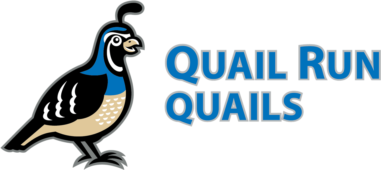 About Quail Run - Quail Run Elementary School Clipart (1500x803), Png Download