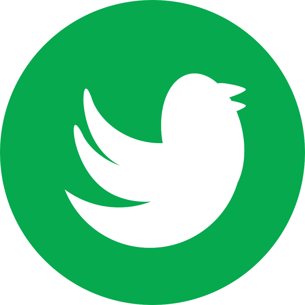 Green Twitter - Camera Icon Clipart (1000x1000), Png Download