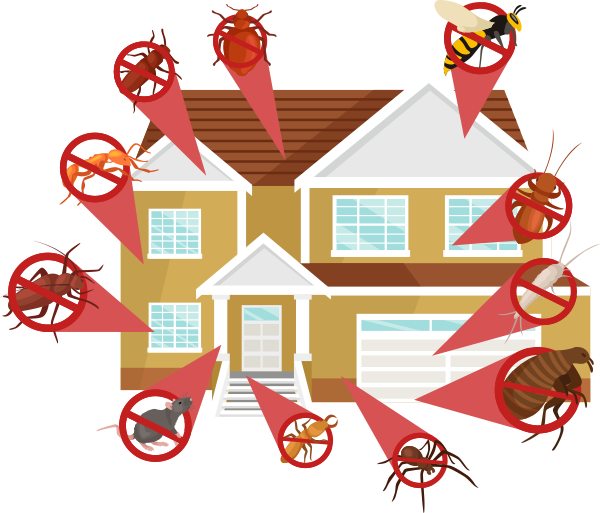 Professional Pest Control Companies Will Go An Extra - Protect From Pest Home Clipart (600x513), Png Download