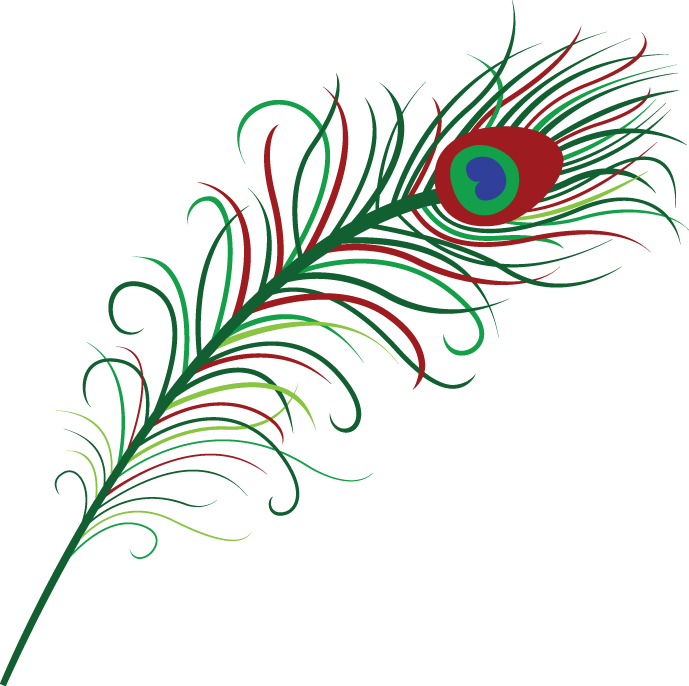 Pluma 689×686 Píxeles - Peacock Feathers Clipart Png Transparent Png (689x686), Png Download