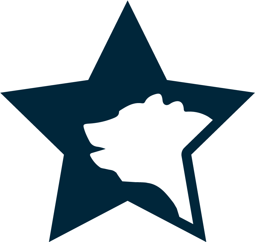 Capitana Crunch - Salt Lake City Stars Logo Clipart (1000x1000), Png Download