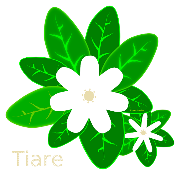 Le Tiaré Peut Également Pousser En Métropole, Comme - Gardenia Taitensis Clipart (595x577), Png Download