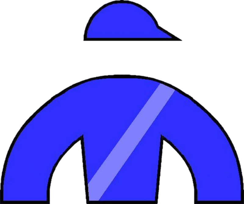 Horse Clipart (800x669), Png Download