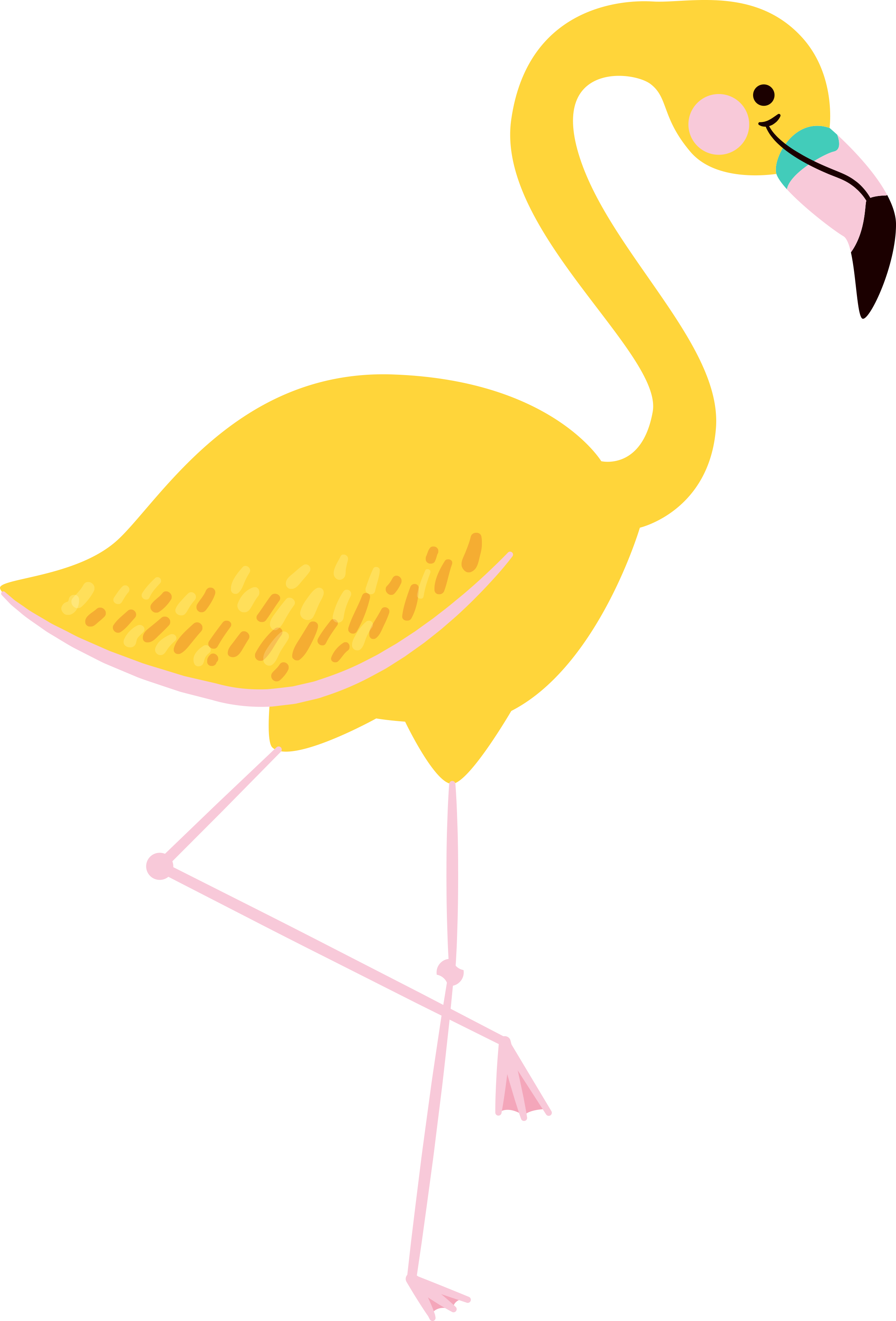 Pin By Isabel Pérez On Piñas/cactus In 2018 - Clip Art Flamingo Png Transparent Png (2382x3511), Png Download