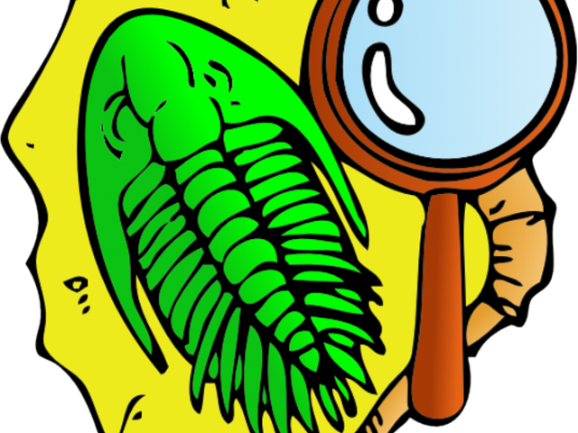 Fossil Clipart Geology Rock - Fossil Clip Art - Png Download (640x480), Png Download
