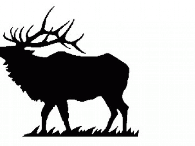Jpg Free Stock Elk Clipart - Black And White Elk - Png Download (640x480), Png Download