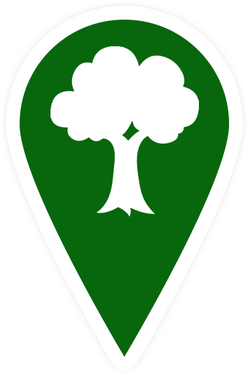 Tree Clipart (600x600), Png Download