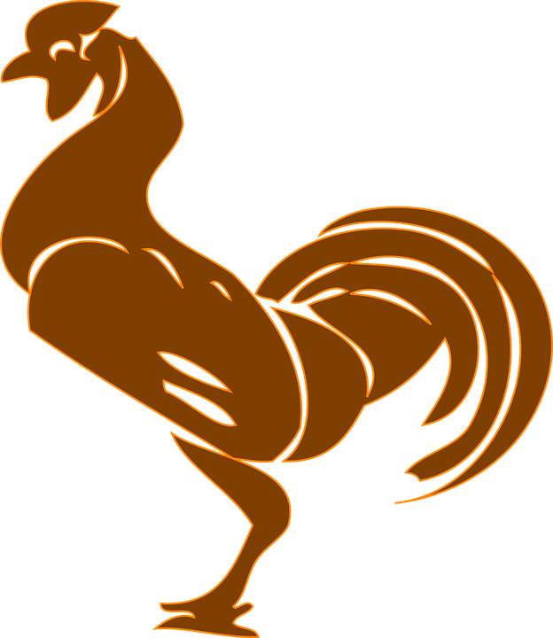 Rooster Bird Silhouette Tattoos, Rooster Silhouette, - Rooster Clip Art - Png Download (624x720), Png Download
