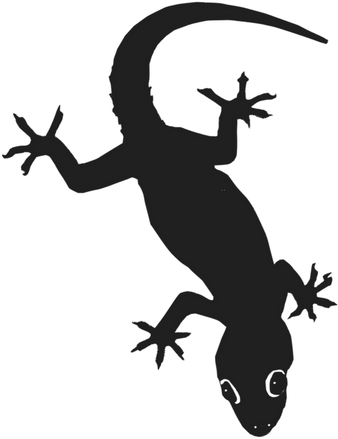 List Gecko Clipart (1000x1000), Png Download