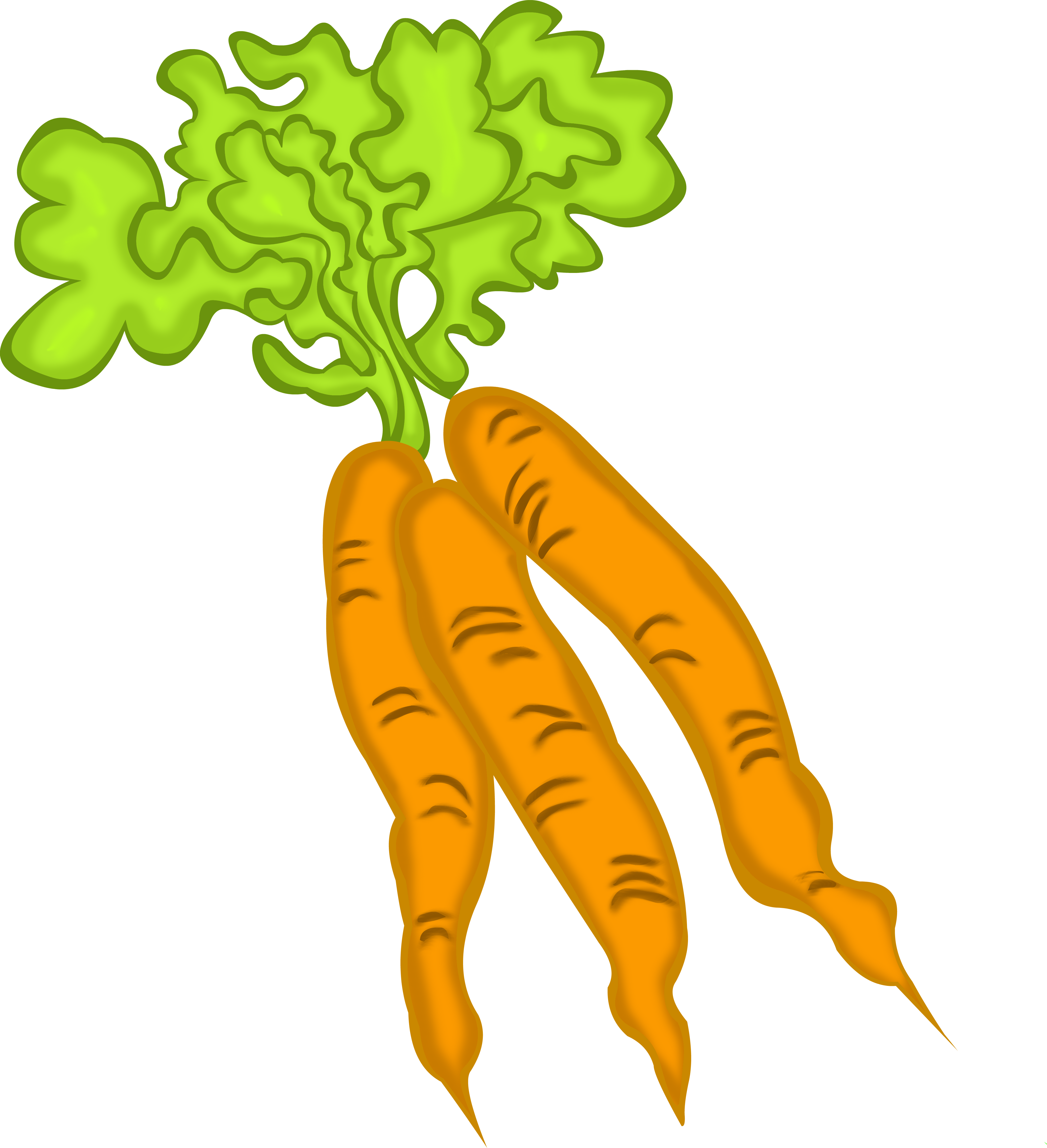 Carrots Pictures Cartoon - แครอท เคลื่อนไหว Png Clipart (1168x1280), Png Download
