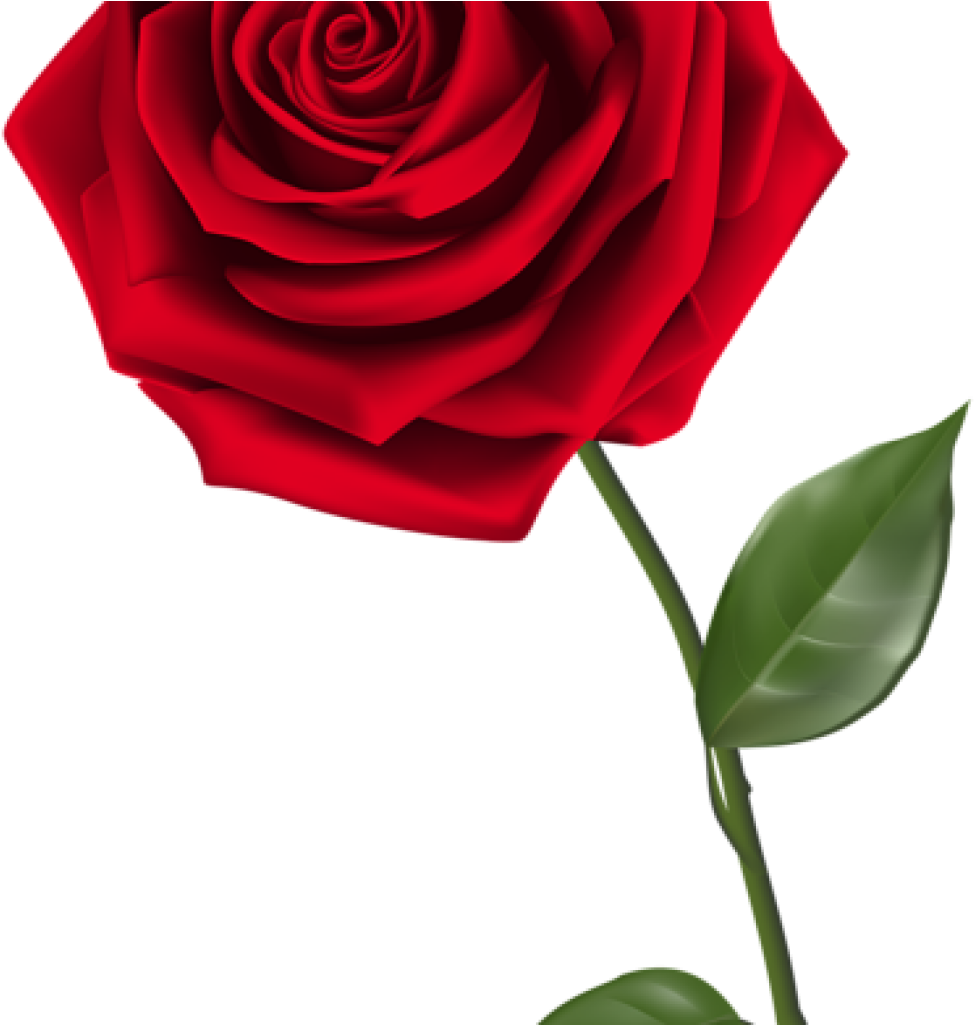 Single Rose Clipart Single Red Rose Png Clipart Image - Bible Verse Scripture Saturday Blessings Transparent Png (1024x1024), Png Download