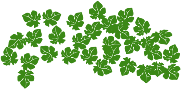 The Figs Are Coming Clipart (1290x500), Png Download