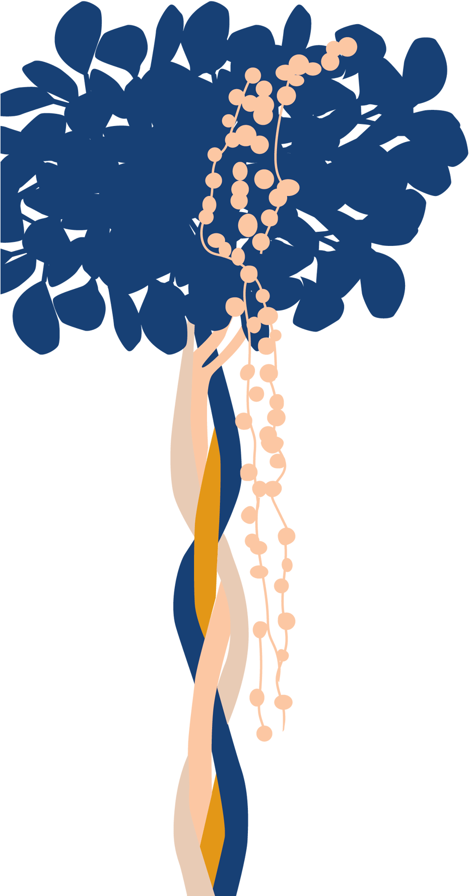 Bloomscape Potted Ficus Danielle - Illustration Clipart (1440x1803), Png Download