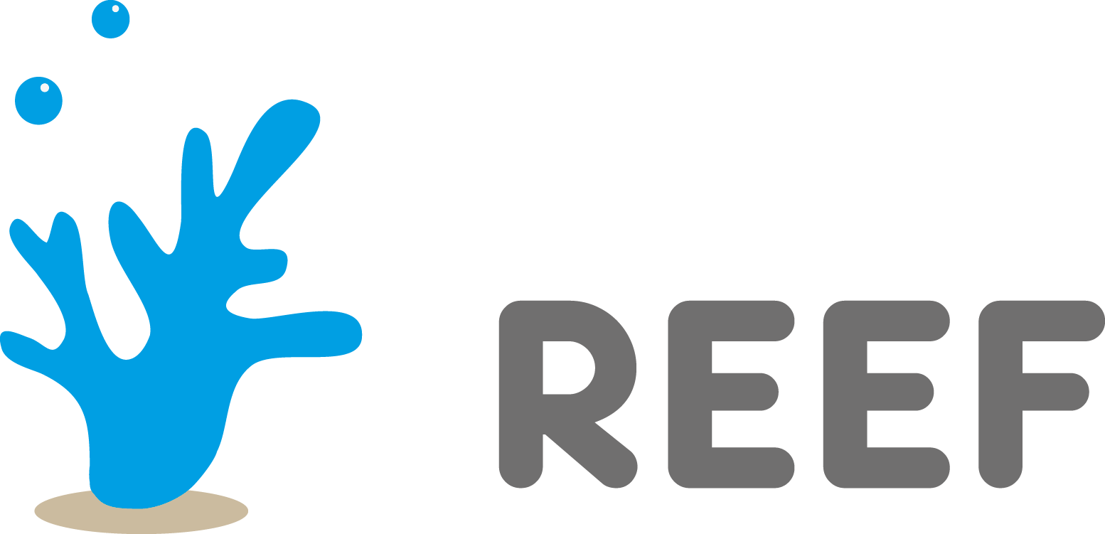 Jackrabbit Clip Art - Png Download (1554x751), Png Download