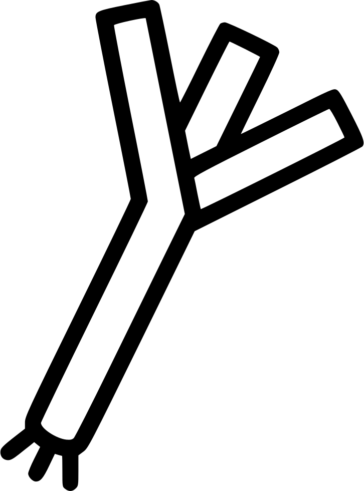 Leek Comments - Portable Network Graphics Clipart (726x980), Png Download