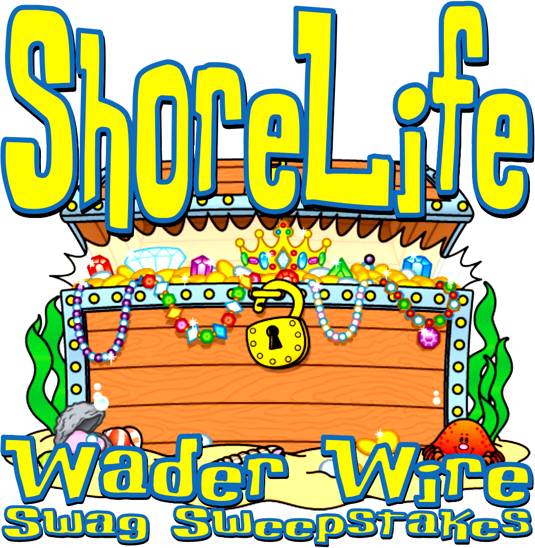 January Swag Sweepstakes Giveaway Winner - Treasure Chest Clip Art - Png Download (1045x1071), Png Download