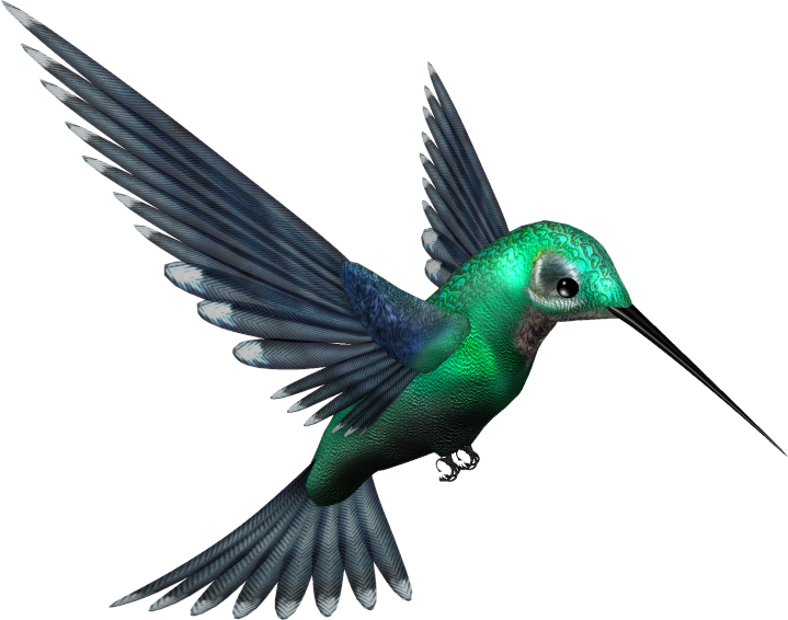 Jpg Freeuse Stock Humming Bird Png By Pixievamp Stock - Humming Bird Png Clipart (719x566), Png Download