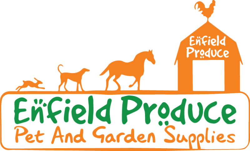Enfield Produce Campbelltown - Roosters Clipart (800x483), Png Download
