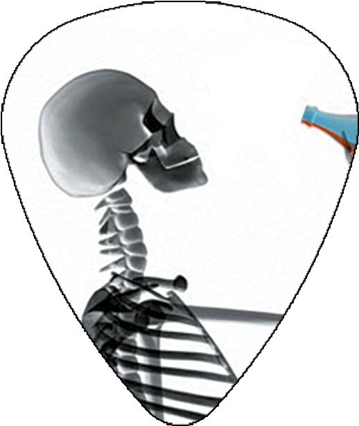 Hot Picks Usa Skeleton Drinking Clipart (600x643), Png Download