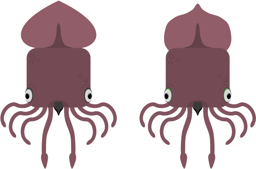 Animal[animal] - Colossal Squid Clipart (945x600), Png Download