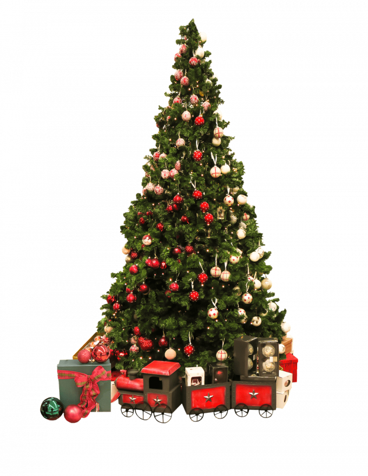 Medium Size Of Christmas Tree Clipart (728x943), Png Download